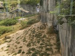 -无锡动物园·太湖欢乐园