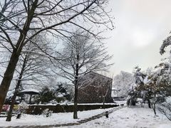 -四明山国家森林公园