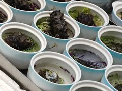 -渔家大院·胶东海鲜·老鲁菜餐厅(德胜店)