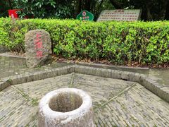 -上海佘山国家森林公园天马山园