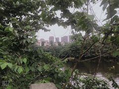 -重庆彩云湖湿地公园