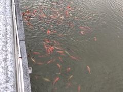 -哈尔滨师范大学(江南校区)