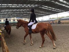 -松声马术俱乐部