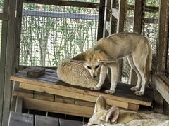 -海南热带野生动植物园