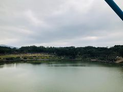 -东莞植物园