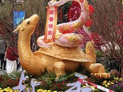 -越秀西湖花市(广州城市广场花卉店)