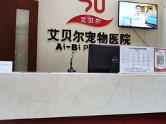 -艾贝尔宠物医院 ·内科全科(梁溪路店)