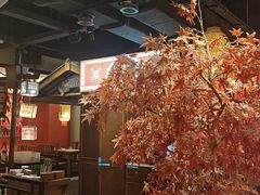 -杨记隆府重庆江湖菜(大悦城店)