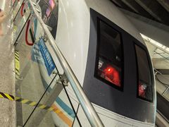 -龙阳路磁悬浮列车总站-停车场