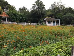 -晓港公园