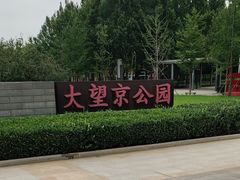-大望京公园