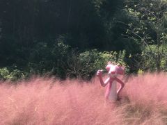 -宁波浙东大竹海景区