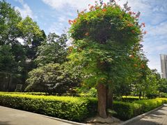 -三兄弟高炉烧饼