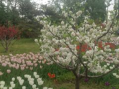 -北京植物园南门售票处