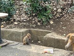 -黔灵山公园