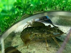 -大连圣亚海洋世界