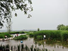 -绿堤公园