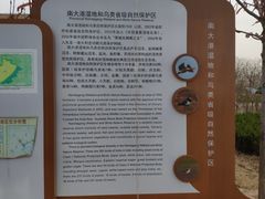 -南大港湿地风景区