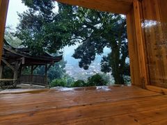 -杨家堂村