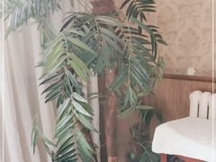 -巴渝兄弟川菜(宽街店)