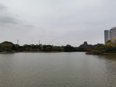 -雀儿山公园