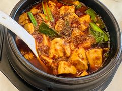 -陈麻婆豆腐总店