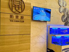 -酌宴府The China Club·广州万富希尔顿酒店(云城东路店)