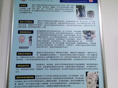 -中国人民解放军空军特色医学中心(空军总医院)