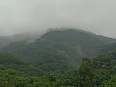-广州市帽峰山景区
