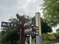 -大亚湾红树林城市湿地公园