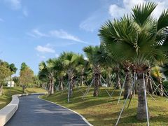 -宝安西湾红树林湿地公园