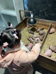 点击看大图 -酷嗒动物文化乐园(cutezoo西溪乐天城店)