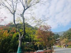-径山寺