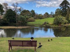 -墨尔本皇家植物园