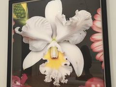 -德基艺术博物馆