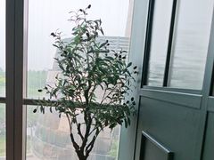 -章记星洲 · 新加坡餐厅(望京店)