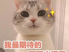 -牛很鲜潮汕牛肉火锅(朝晖路店)