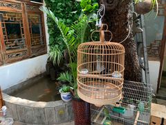 -丽江庭院·云南野生菌·海鲜火锅(鼓楼四合院店)