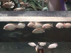 -波塞冬旅游度假区