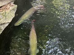 -青青世界