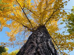 -沪东工人文化宫