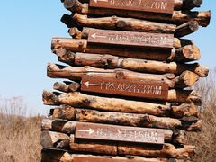 -北京西山国家森林公园