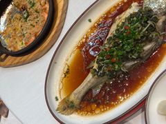 -江太极江浙菜(马桥万达广场店)