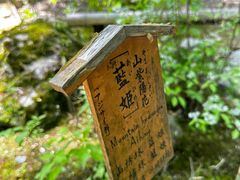 -天龙寺