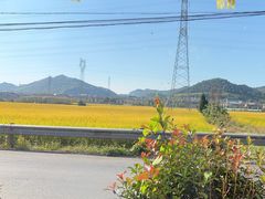 -李东农庄(中南百草园地标店)