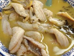 舟山鱼小黄鱼面-明呈黄鱼面馆(斜土路店)