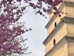 -大慈恩寺(大雁塔)