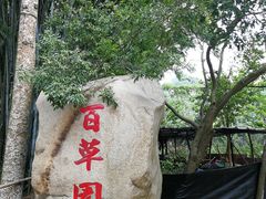 -田心森林公园