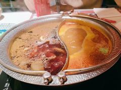 -温禾牛·和牛寿喜烧自助火锅(恒基名人店)