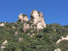 -大岭沟猕猴桃谷风景区